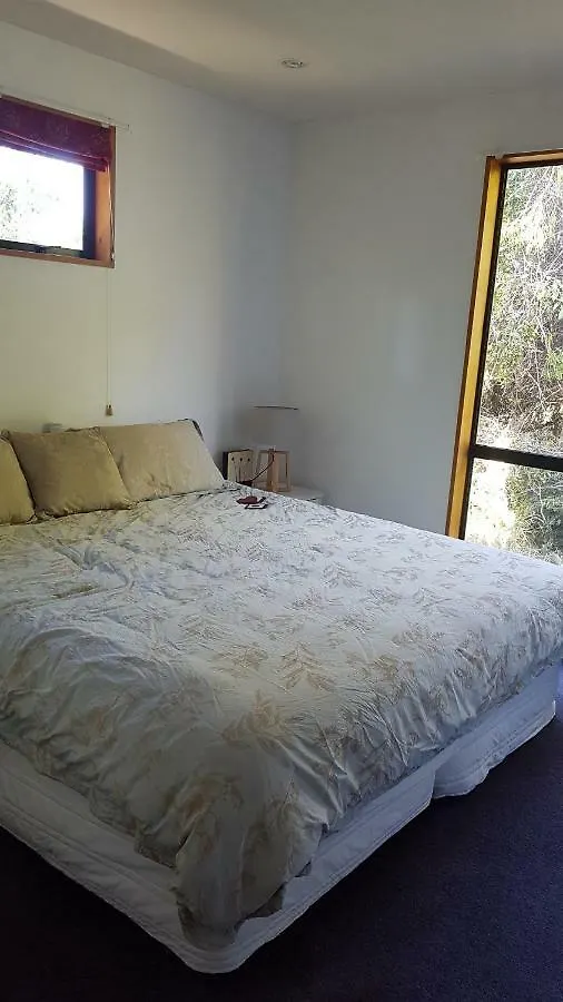Tranquil Treehouse Villa Christchurch Holiday home